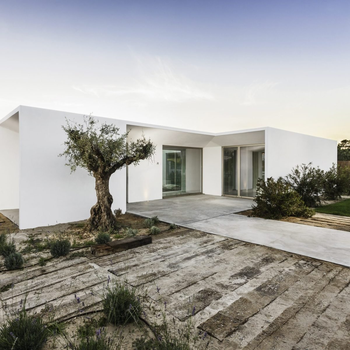modern-house-entrance-with-garden-and-wooden-deck-PXUADMN-scaled-1.jpg modern-house-entrance-with-garden-and-wooden-deck-PXUADMN-scaled-1.jpg